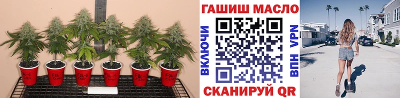 Дистиллят ТГК концентрат Выкса